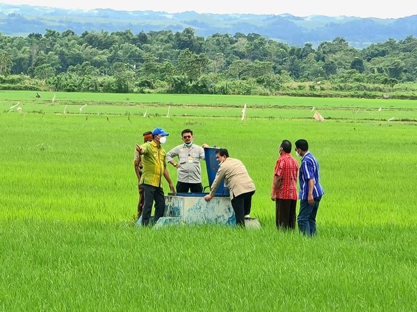 Peduli Peneliti Kementan Kembangkan Riset Padi Gogo